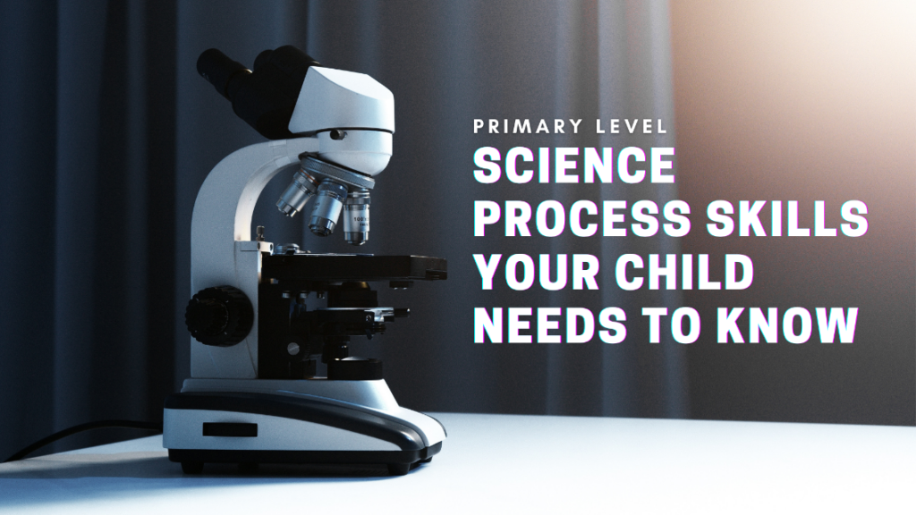 3 Important Science Process Skills Your Child Needs to Know