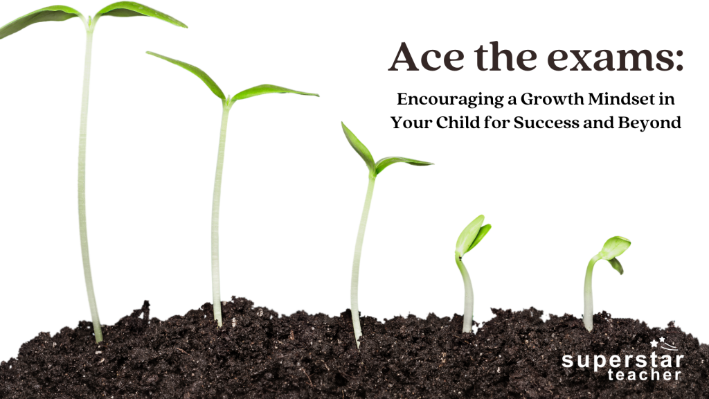 Ace the Exams: Encouraging a Growth Mindset in Your Child for Success and Beyond